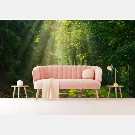 Fotomural sendero iluminado en el bosque – Pixers®