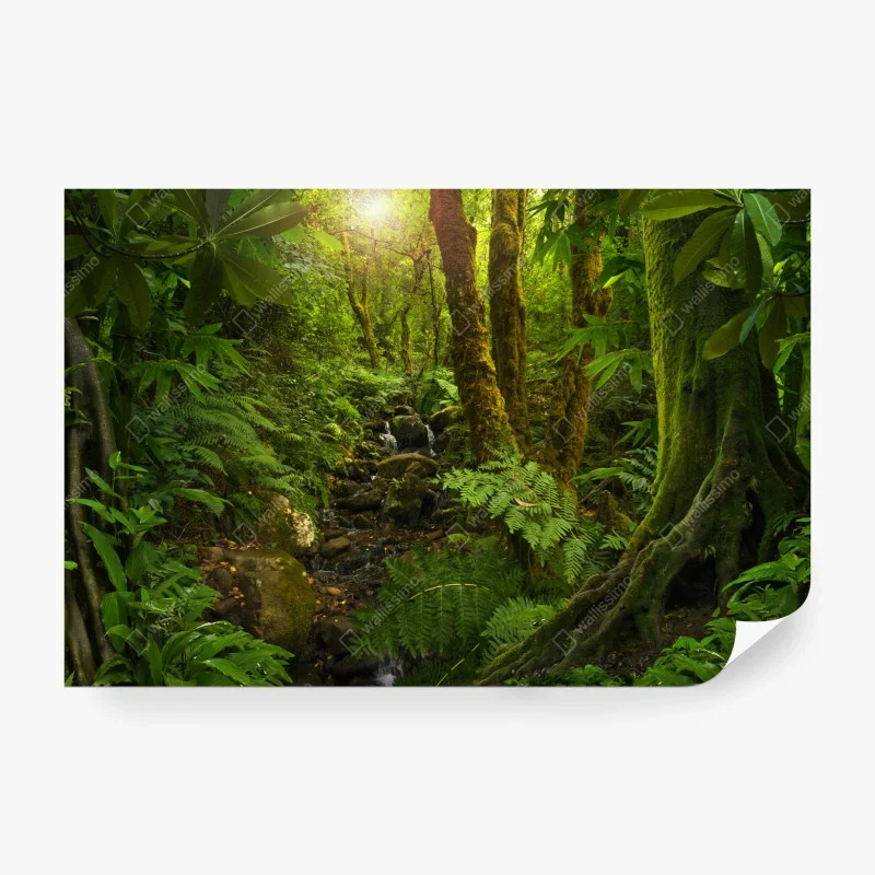 Fotomural paisaje de bosque místico al amanecer