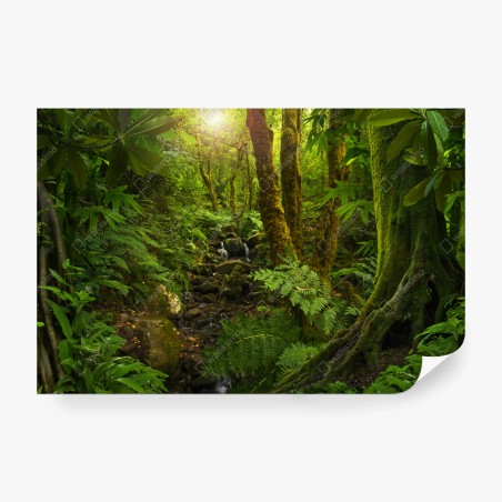 Fotomural paisaje de bosque místico al amanecer – Pixers®