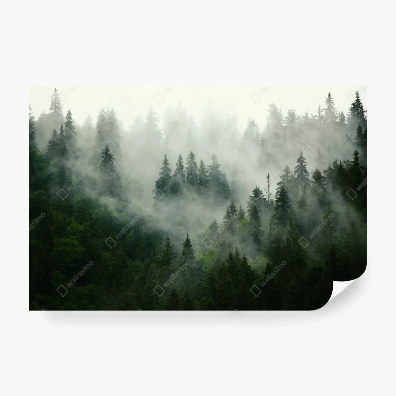 Fotomural bosque envuelto en niebla