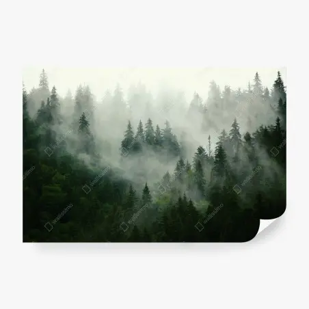 Fotomural bosque envuelto en niebla – Pixers®