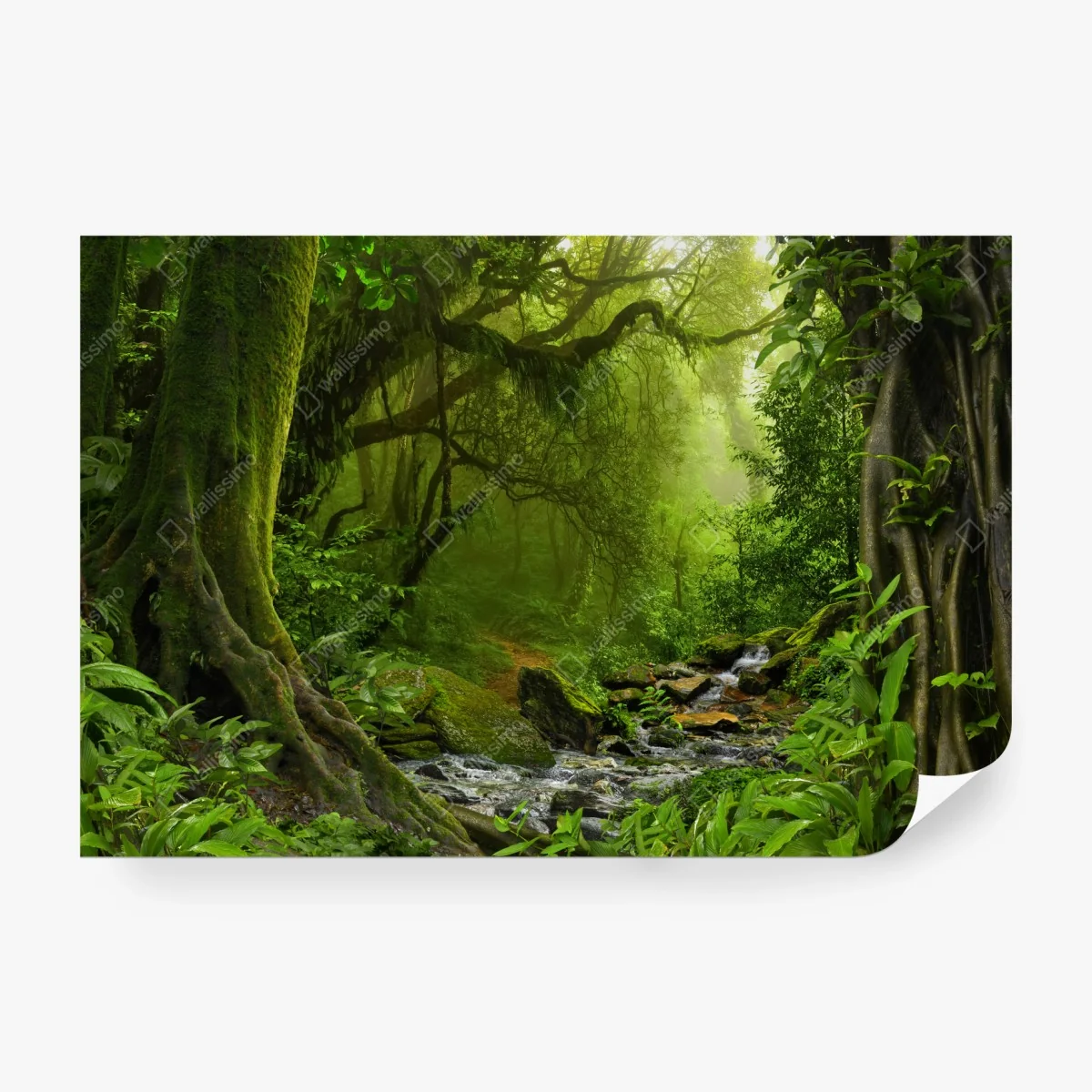 Fotomural paisaje de bosque tropical con arroyo – Pixers®