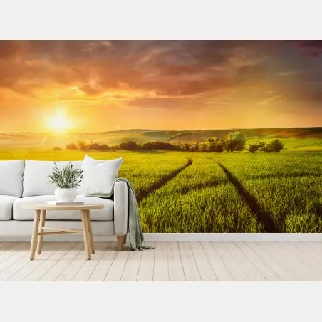 Fotomural puesta de sol dorada sobre el campo – Pixers®
