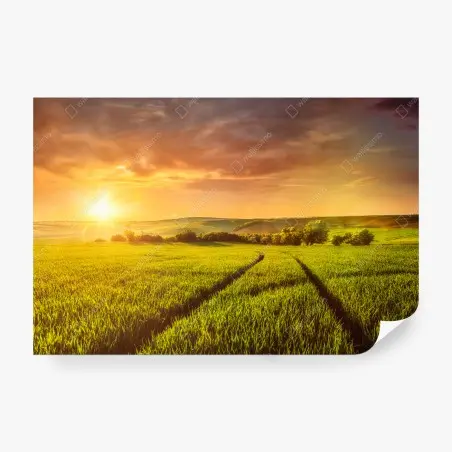 Fotomural puesta de sol dorada sobre el campo – Pixers®
