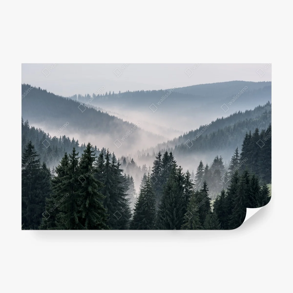Fotomural valle brumoso de pinos en capas – Pixers® Fotomural valle brumoso de pinos en capas – Pixers®