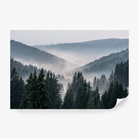 Fotomural valle brumoso de pinos en capas – Pixers®