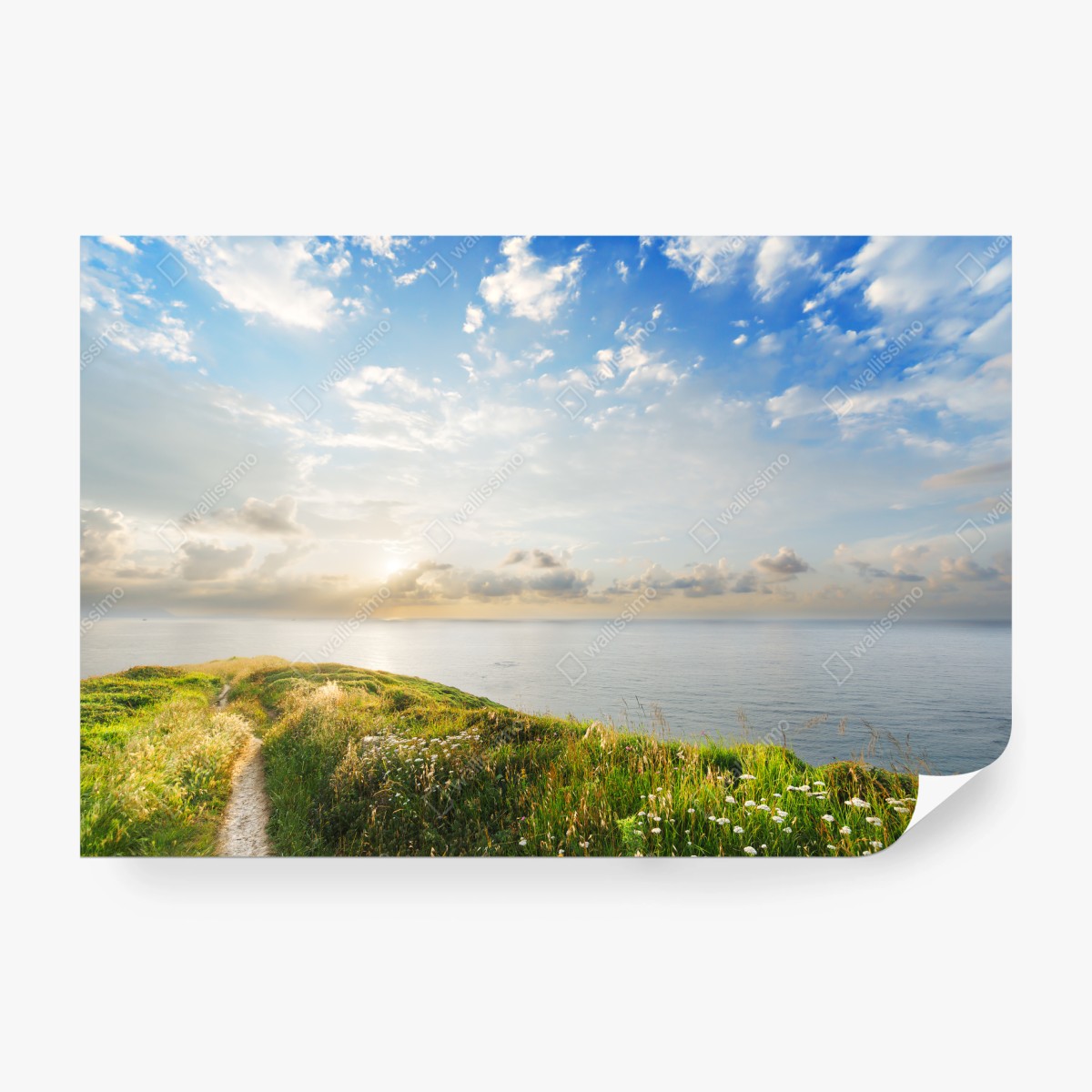 Fotomural sendero hacia el mar al amanecer – Pixers®