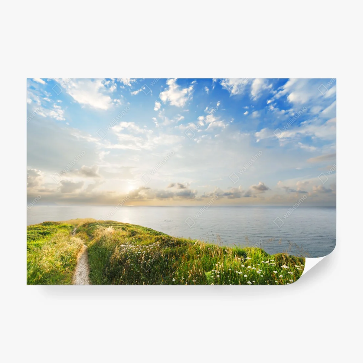 Fotomural sendero hacia el mar al amanecer – Pixers® Fotomural sendero hacia el mar al amanecer – Pixers®