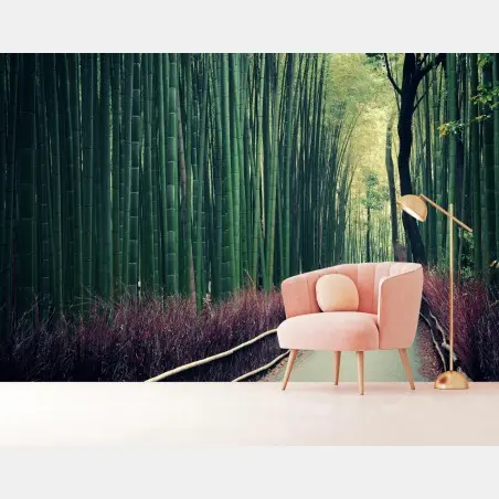 Fotomural paseo sereno entre bambúes en Arashiyama, Kyoto – Pixers®