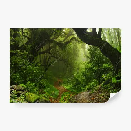 Fotomural sendero místico en bosque esmeralda – Pixers®