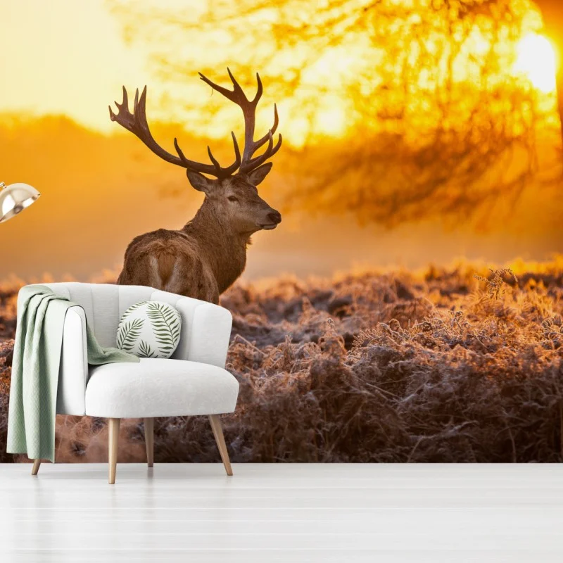 Fotomural ciervo al amanecer en paisaje helado