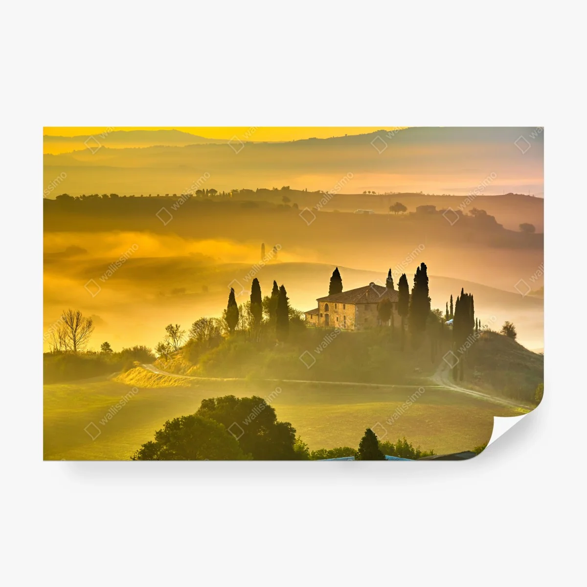 Fotomural colina dorada con casa y cipreses al amanecer – Pixers®