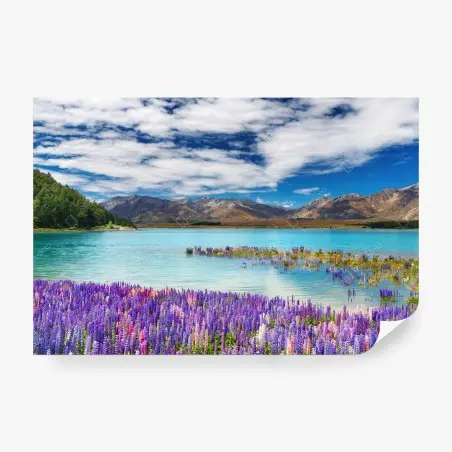 Fotomural lupinos y lago turquesa en Lake Tekapo – Pixers®