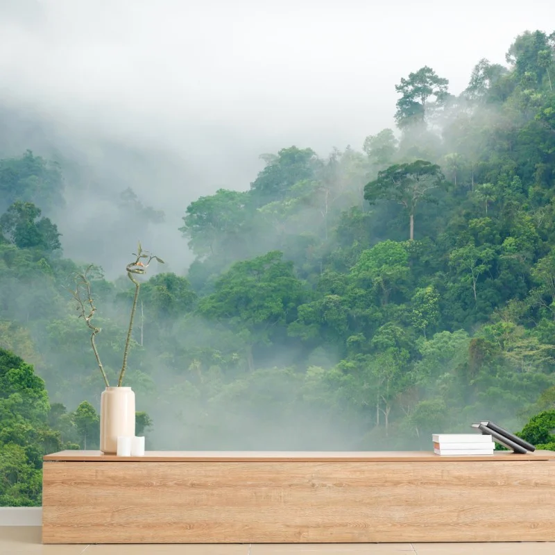 Fotomural niebla matinal en el bosque tropical de Kaeng Krachan