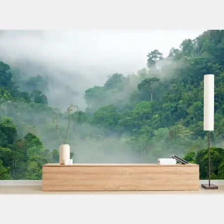 Fotomural niebla matinal en el bosque tropical de Kaeng Krachan – Pixers®
