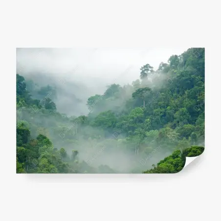 Fotomural niebla matinal en el bosque tropical de Kaeng Krachan – Pixers®