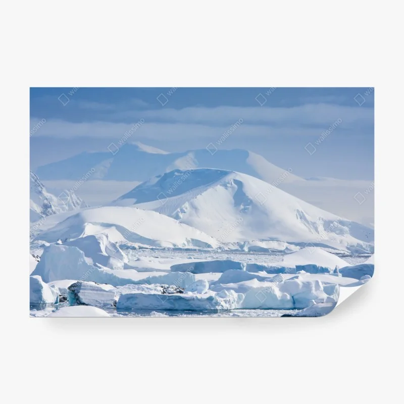 Fotomural serenidad polar: montañas nevadas y icebergs