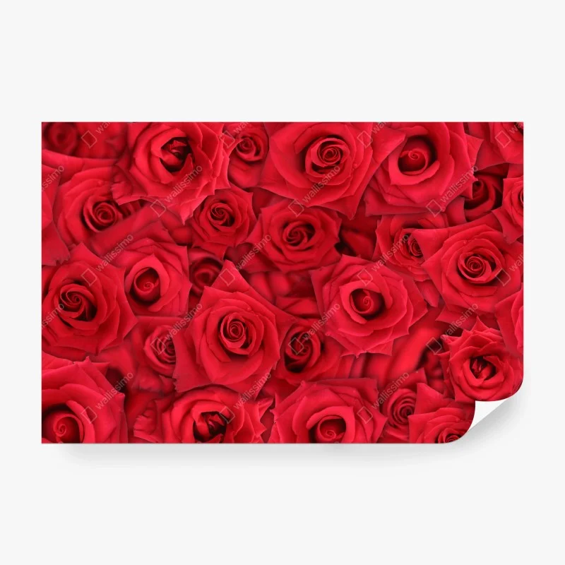 Fotomural abundancia de rosas rojas – Pixers® Fotomural abundancia de rosas rojas – Pixers®