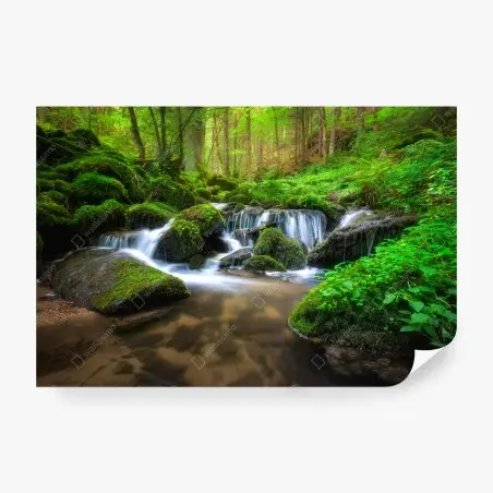 Fotomural bosque de musgo y cascada serena – Pixers®