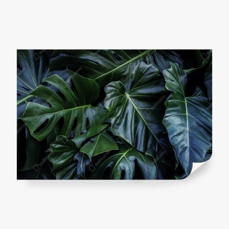 Fotomural follaje tropical en tonos verdes profundos – Pixers®