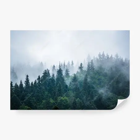 Fotomural bosque entre la niebla y los pinos – Pixers®
