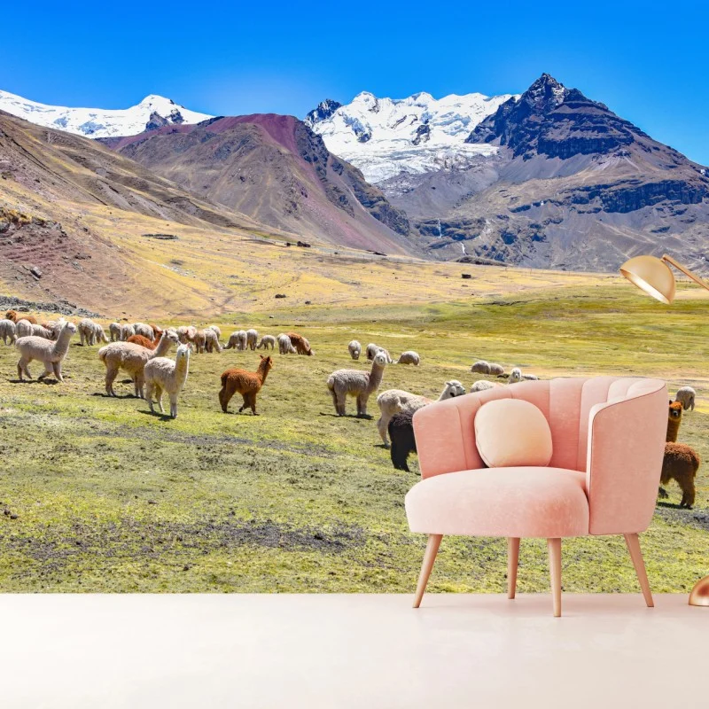 Fotomural paisaje de alpacas en Ausangate, Cusco