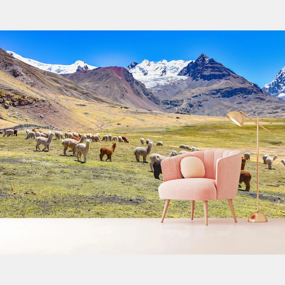 Fotomural paisaje de alpacas en Ausangate, Cusco – Pixers® Fotomural paisaje de alpacas en Ausangate, Cusco – Pixers®