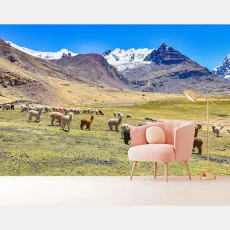 Fotomural paisaje de alpacas en Ausangate, Cusco – Pixers®