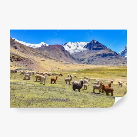 Fotomural paisaje de alpacas en Ausangate, Cusco – Pixers®