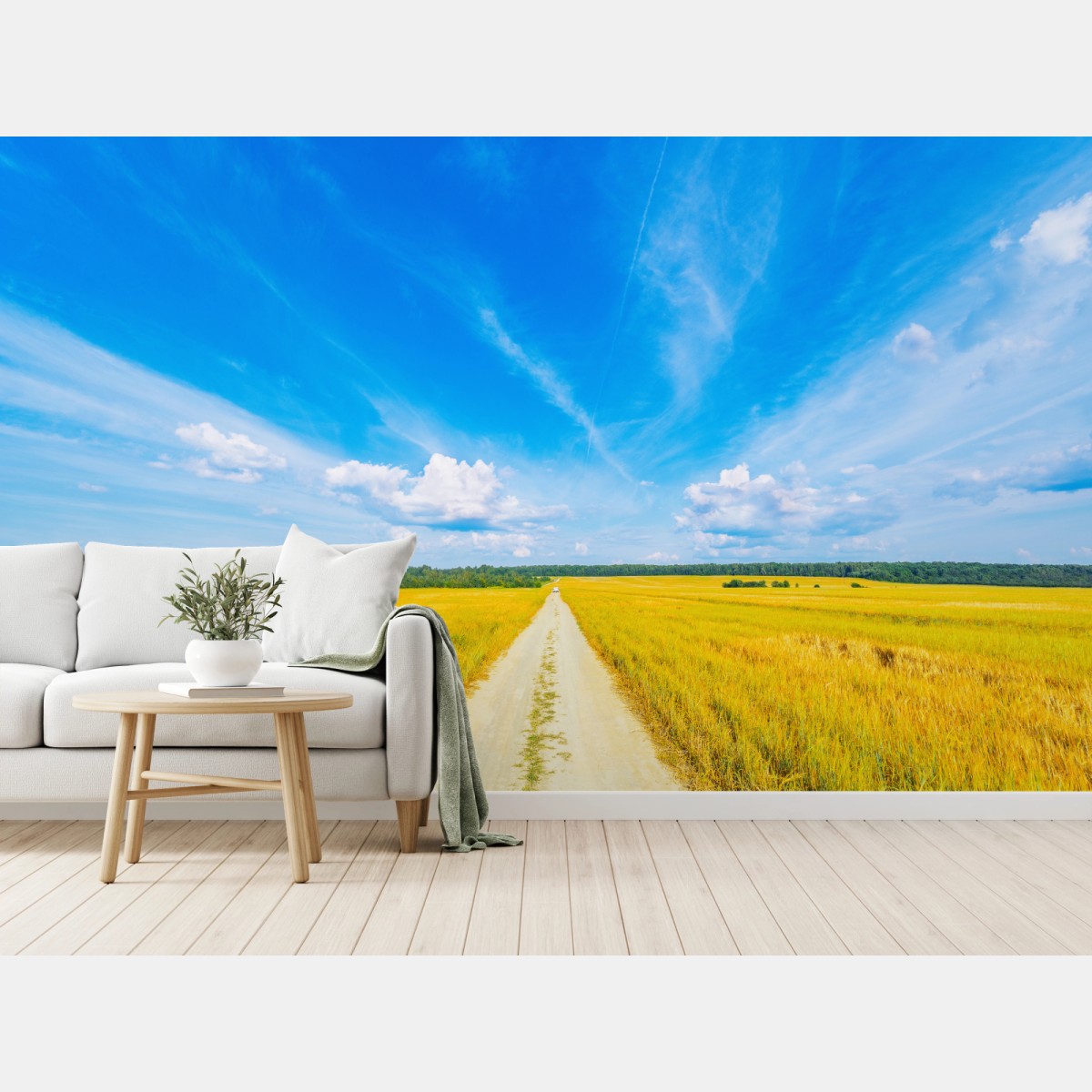 Fotomural camino hacia el horizonte entre campos dorados – Pixers®