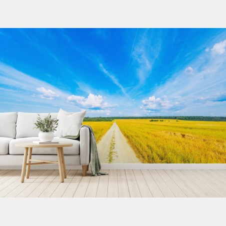 Fotomural camino hacia el horizonte entre campos dorados – Pixers®