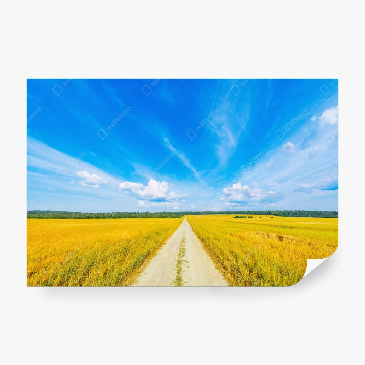 Fotomural camino hacia el horizonte entre campos dorados – Pixers® Fotomural camino hacia el horizonte entre campos dorados – Pixers®