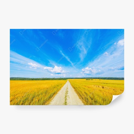 Fotomural camino hacia el horizonte entre campos dorados – Pixers®