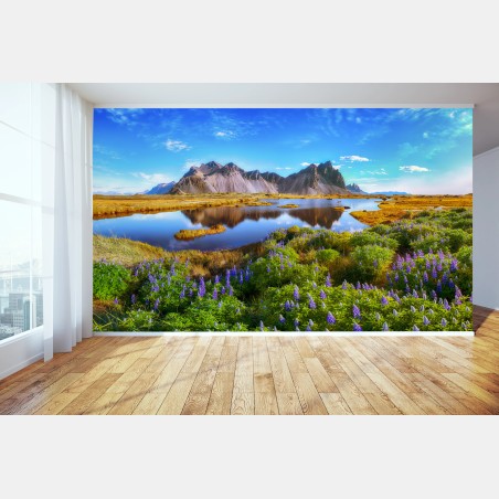 Fotomural lupinos frente a Stokksnes, Vestrahorn – Pixers®