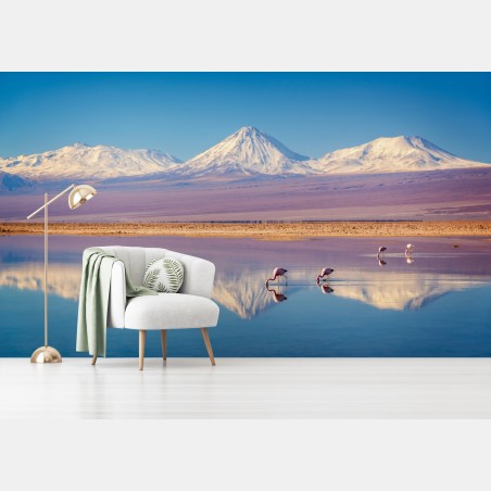 Fotomural reflejos del volcán Licancabur en la laguna Chaxa – Pixers®