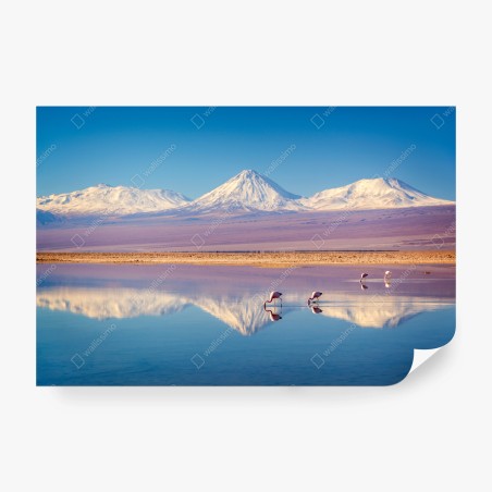 Fotomural reflejos del volcán Licancabur en la laguna Chaxa – Pixers®