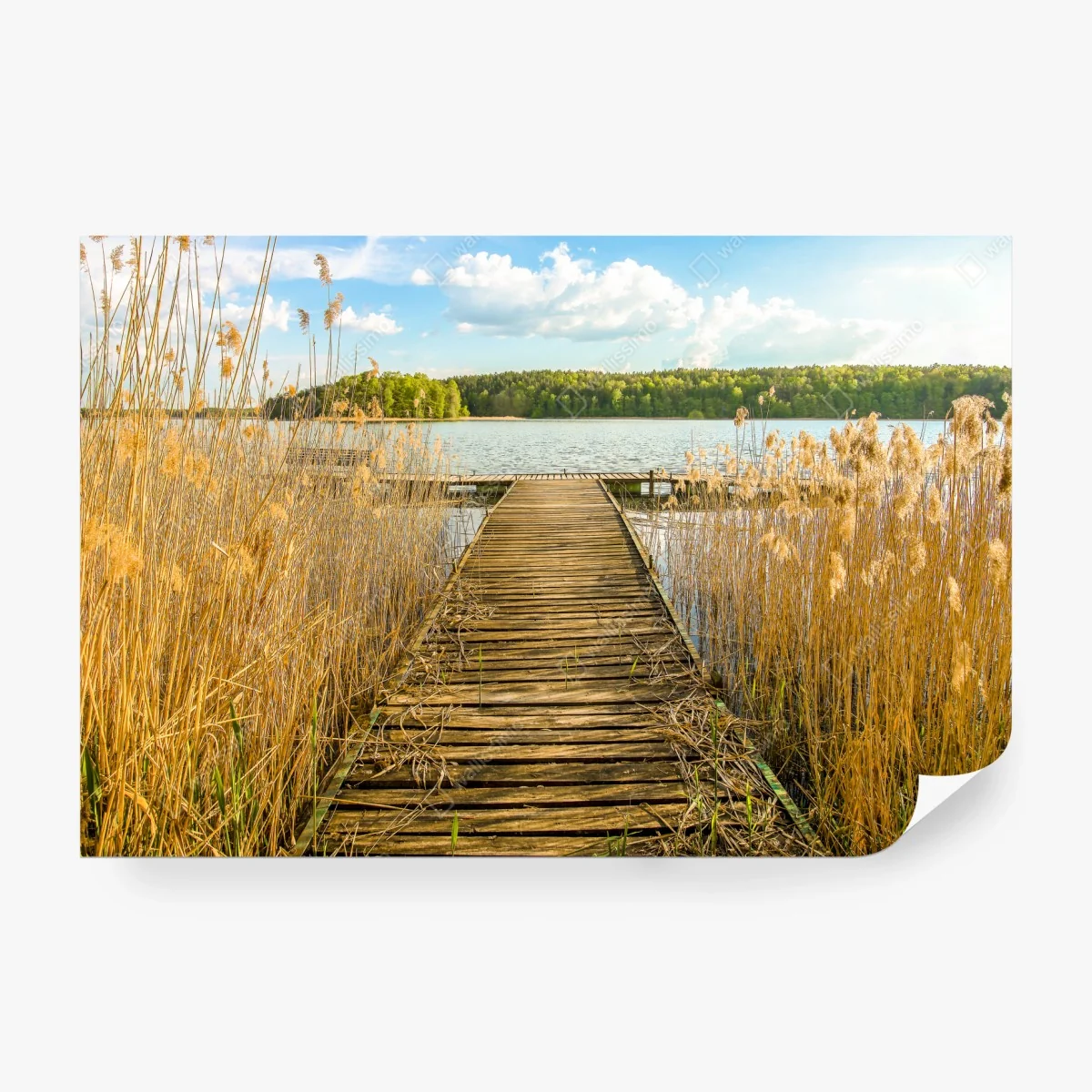 Fotomural muelle hacia la tranquilidad del lago – Pixers®