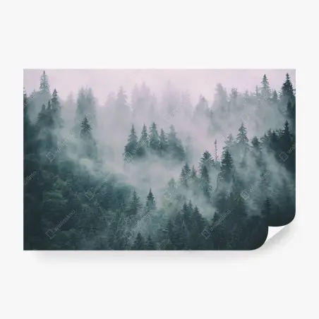 Fotomural bosque en la niebla, calma natural – Pixers®