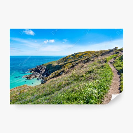 Fotomural panorámica del sendero costero en Hor Point, St Ives, Cornwall – Pixers®