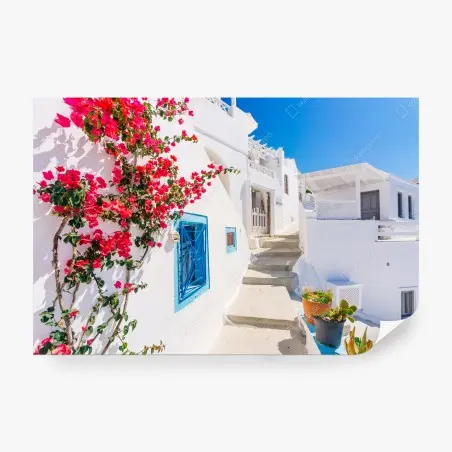 Fotomural calle blanca de Santorini con buganvillas en flor – Pixers®