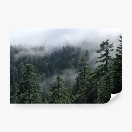 Fotomural paisaje brumoso de Larch Mount, Oregon – Pixers®