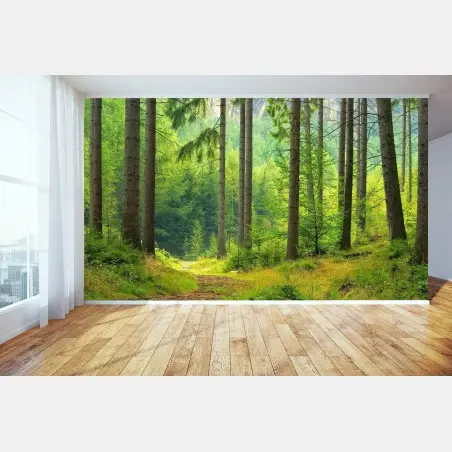 Fotomural sendero sereno en bosque de pinos – Pixers®