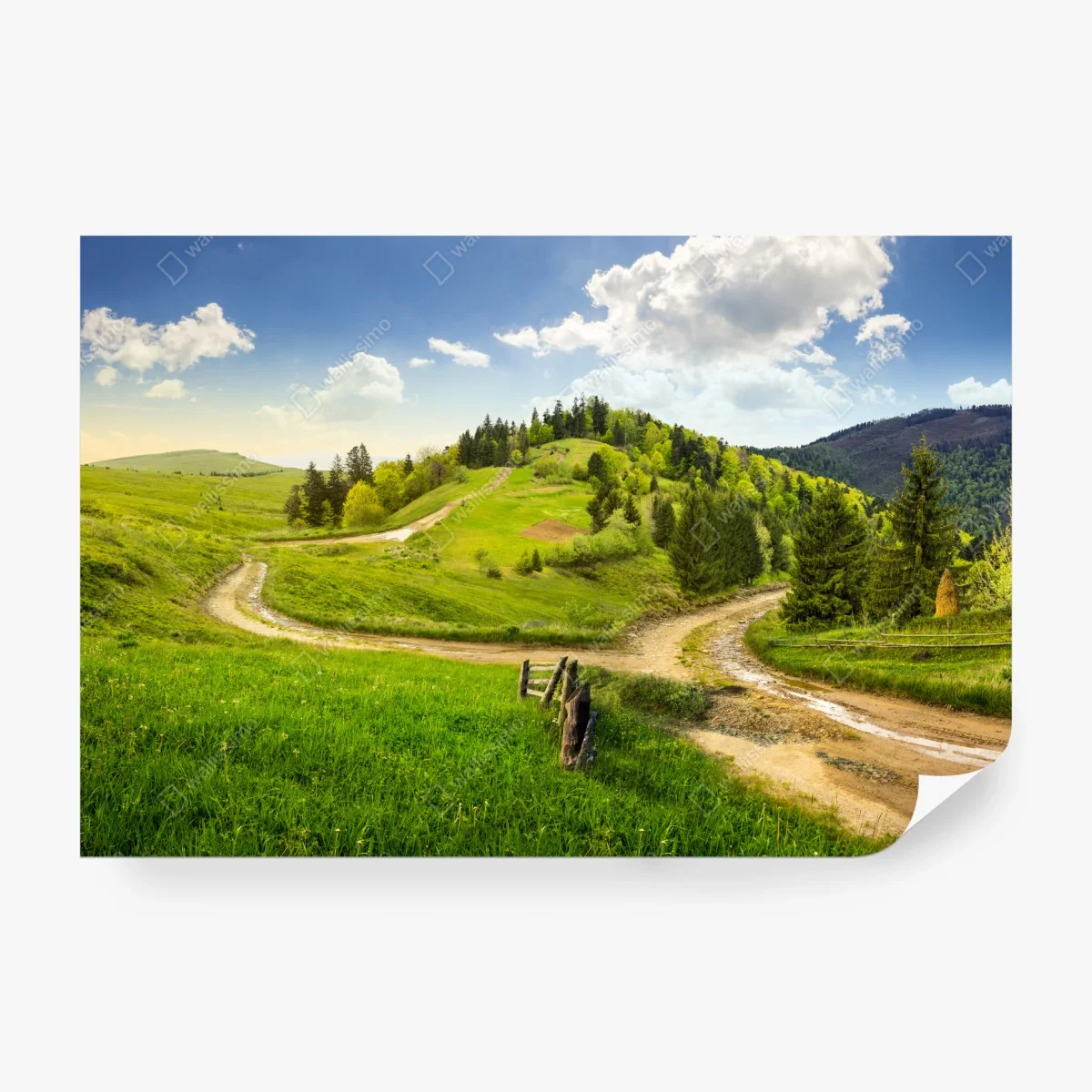 Fotomural escena otoñal en la colina con cruce de caminos – Pixers®