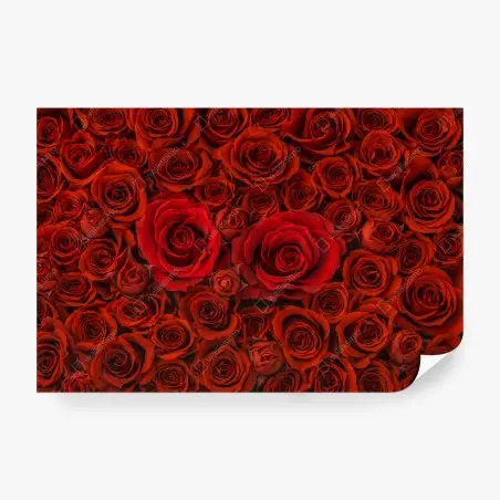 Fotomural composición de rosas rojas – Pixers®