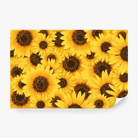Fotomural mosaico de girasoles radiantes – Pixers®