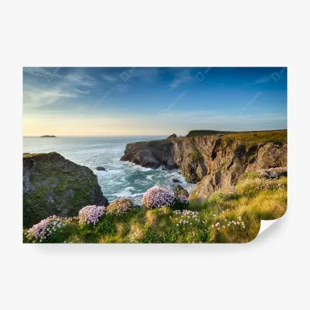 Fotomural acantilado florido al atardecer – Pixers®