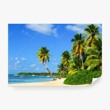 Fotomural playa paradisíaca con palmeras y aguas turquesas – Pixers®