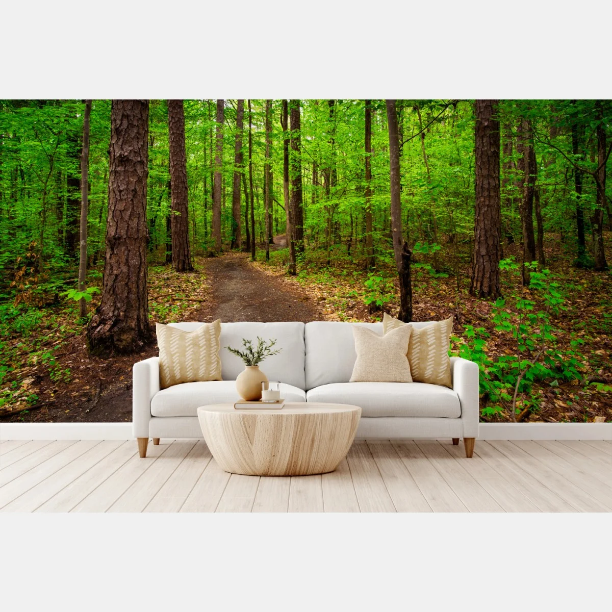Fotomural sendero verde en el bosque – Pixers® Fotomural sendero verde en el bosque – Pixers®