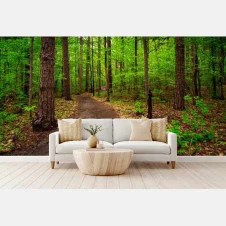 Fotomural sendero verde en el bosque – Pixers®