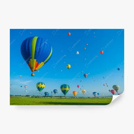Fotomural amanecer en Chambley con globos aerostáticos sobre el campo – Pixers®